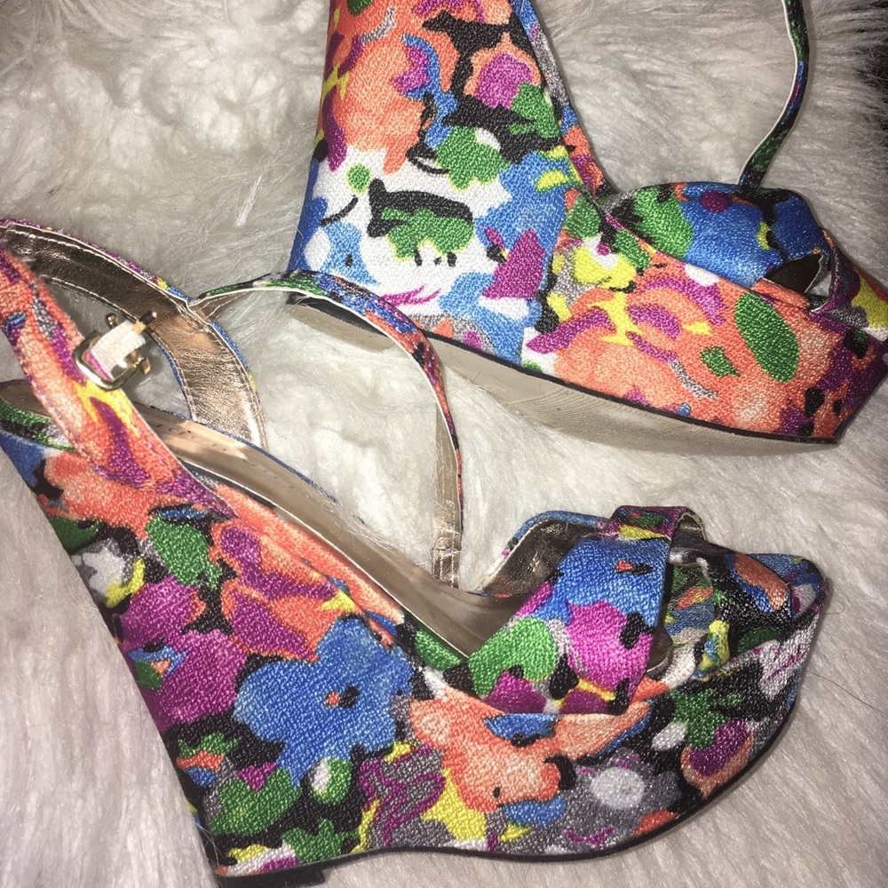 Colorful Wedges